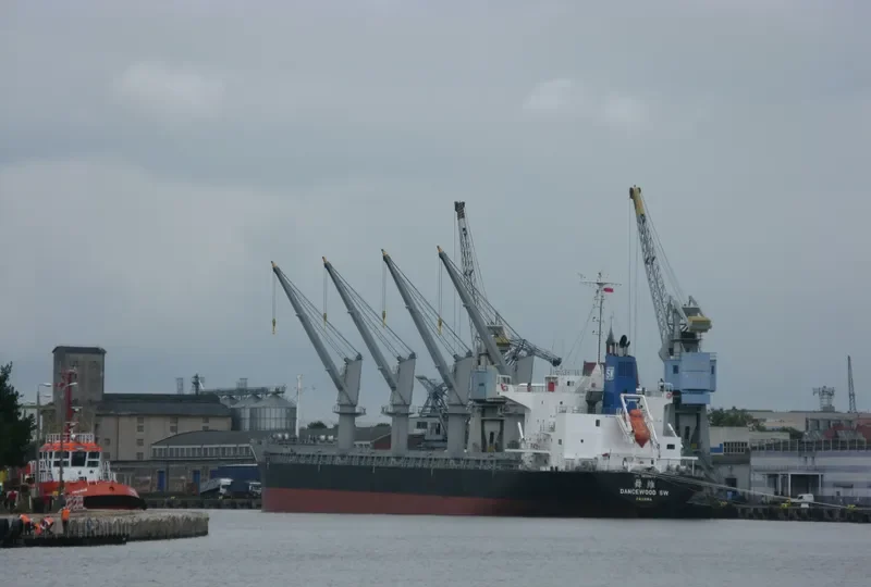 DANCEWOOD SW Bulk Carrier IMO 9639672 photo 7