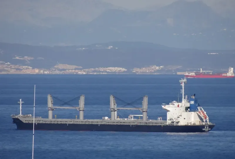 DANCEWOOD SW Bulk Carrier IMO 9639672 photo 8