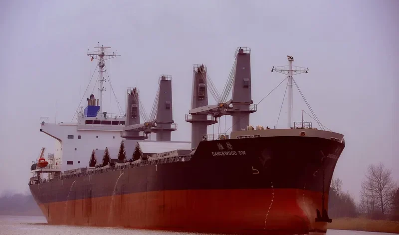 DANCEWOOD SW Bulk Carrier IMO 9639672 photo 9