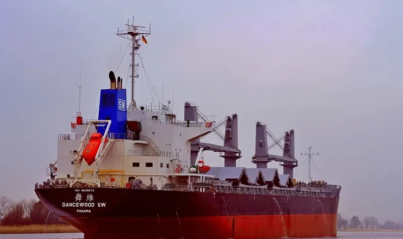 DANCEWOOD SW Bulk Carrier IMO 9639672 photo 10