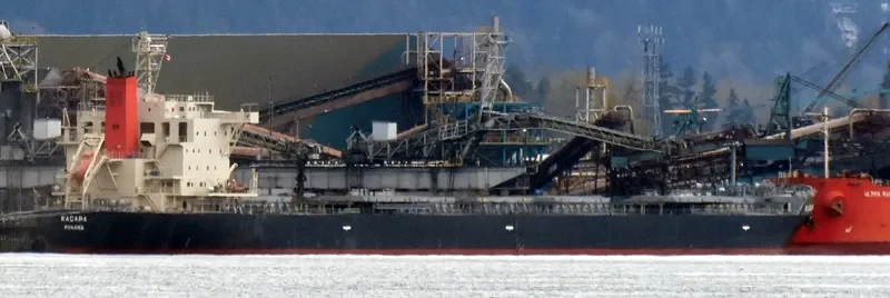 KAGARA Bulk Carrier IMO 9639684