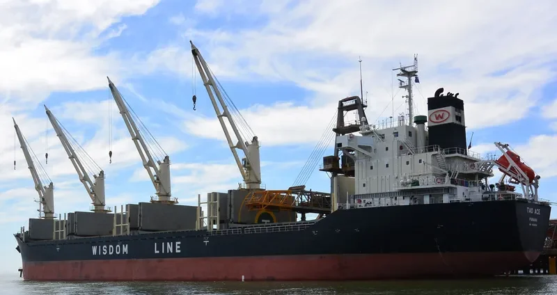 TAO ACE Bulk Carrier IMO 9639696