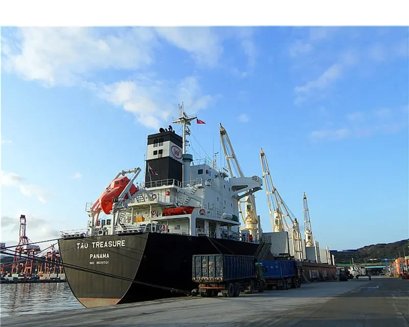 TAO TREASURE Bulk Carrier IMO 9639701