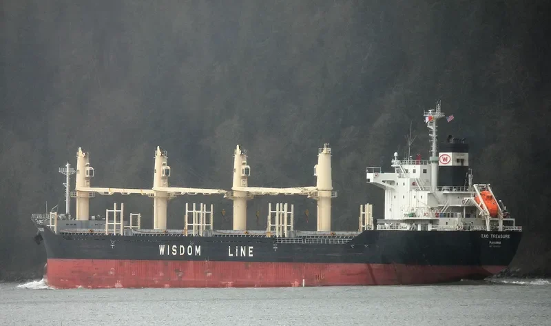 TAO TREASURE Bulk Carrier IMO 9639701 photo 3