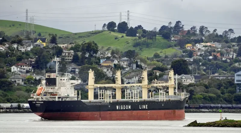 TAO TREASURE Bulk Carrier IMO 9639701 photo 4