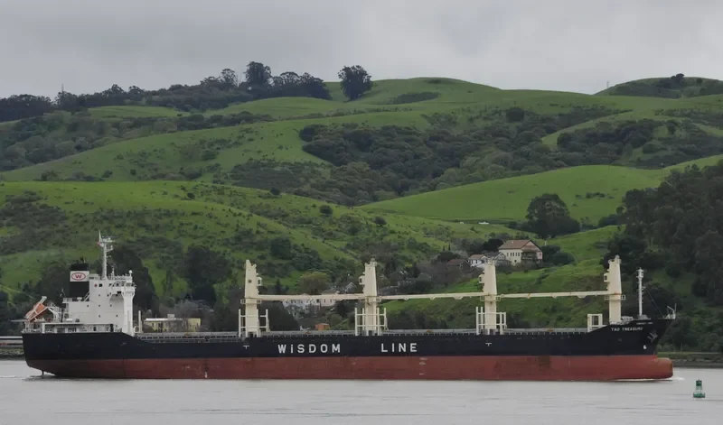 TAO TREASURE Bulk Carrier IMO 9639701 photo 5