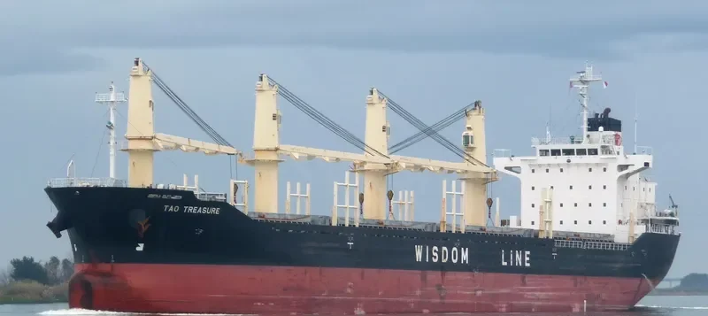 TAO TREASURE Bulk Carrier IMO 9639701 photo 6
