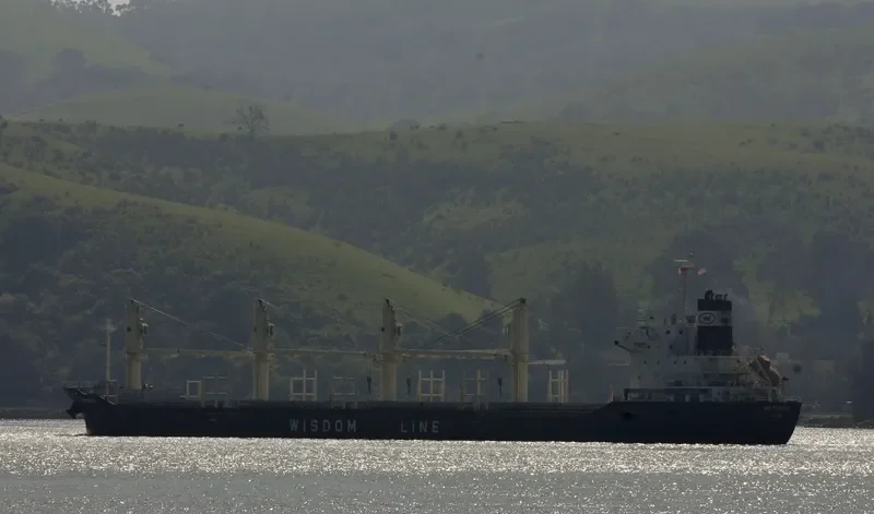 TAO TREASURE Bulk Carrier IMO 9639701 photo 7