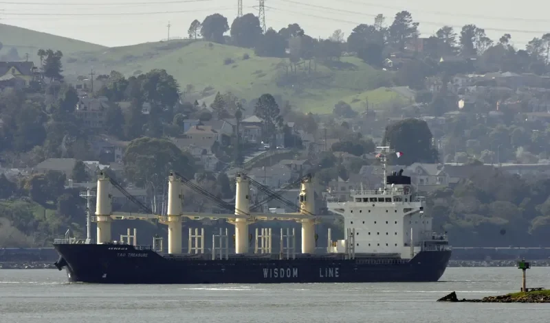 TAO TREASURE Bulk Carrier IMO 9639701 photo 8