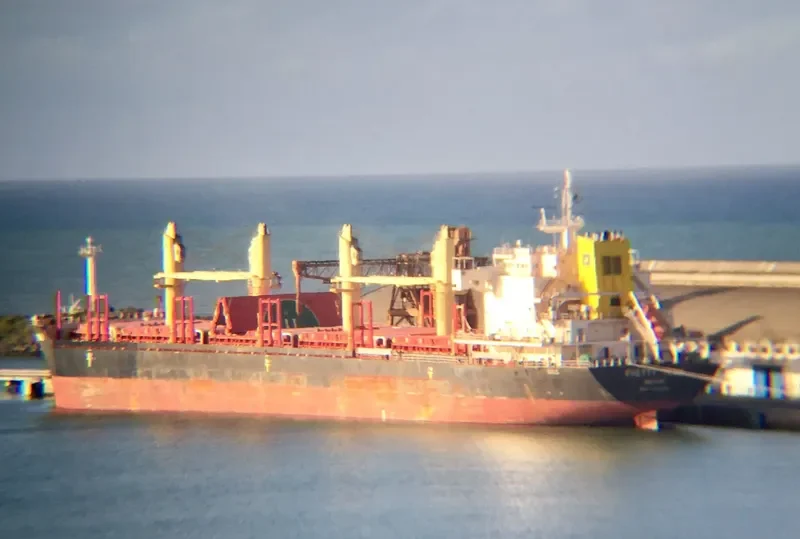 PRETTY TEAM Bulk Carrier IMO 9639763