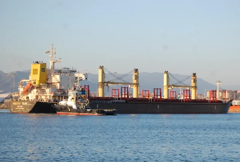 PRETTY TEAM Bulk Carrier IMO 9639763 photo 9