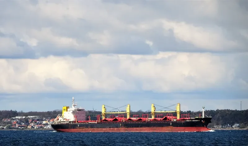 PRETTY UNIVERSE Bulk Carrier IMO 9639775 photo 9