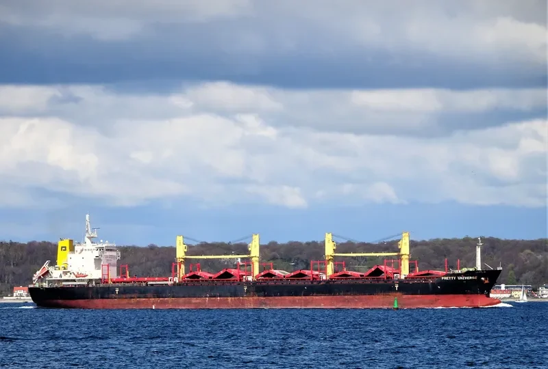 PRETTY UNIVERSE Bulk Carrier IMO 9639775 photo 10