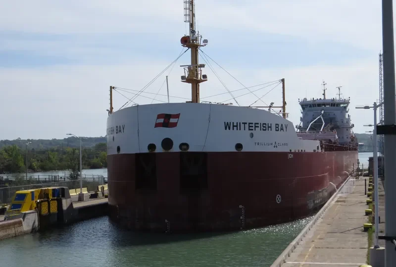 WHITEFISH BAY Bulk Carrier IMO 9639880 photo 7