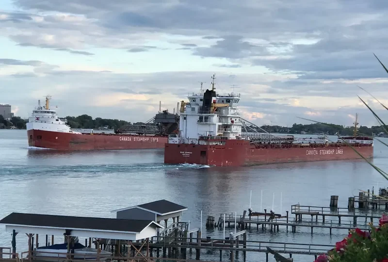 BAIE COMEAU Bulk Carrier IMO 9639892