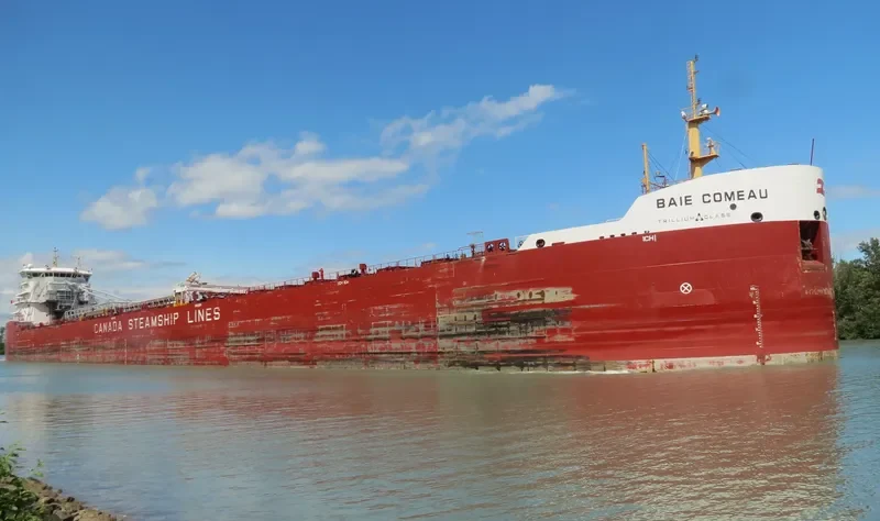 BAIE COMEAU Bulk Carrier IMO 9639892 photo 4
