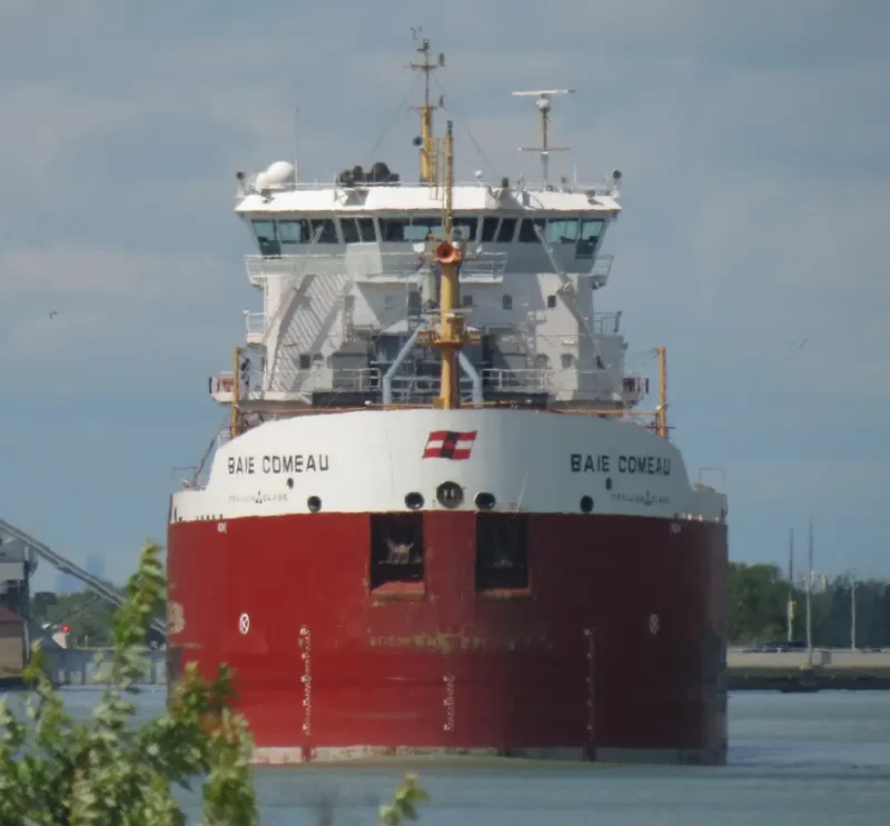 BAIE COMEAU Bulk Carrier IMO 9639892 photo 6