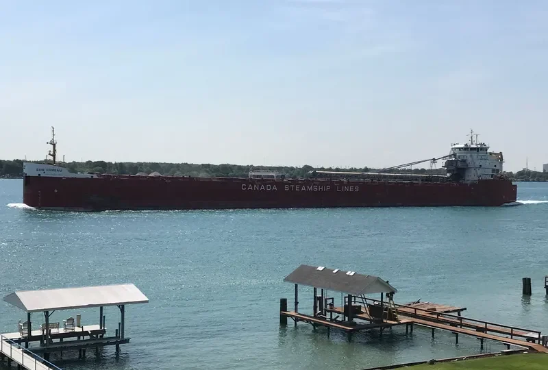 BAIE COMEAU Bulk Carrier IMO 9639892 photo 7