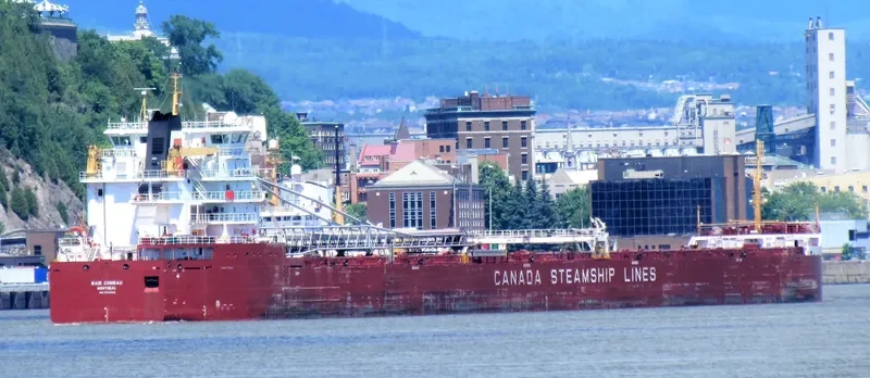 BAIE COMEAU Bulk Carrier IMO 9639892 photo 8