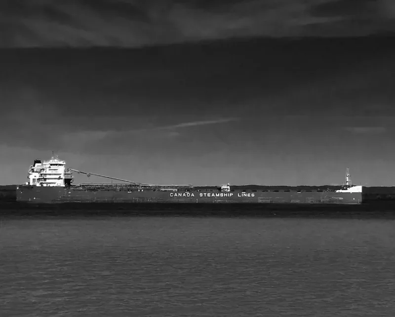 BAIE COMEAU Bulk Carrier IMO 9639892 photo 9