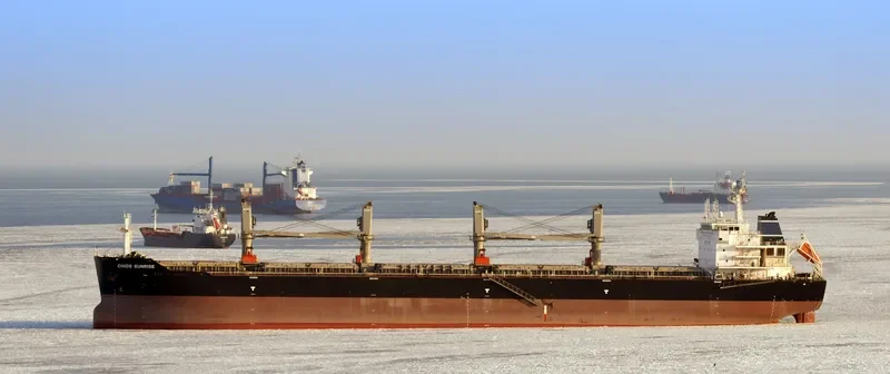 CHIOS SUNRISE Bulk Carrier IMO 9639907 photo 2