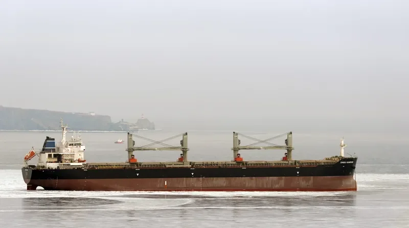 CHIOS SUNRISE Bulk Carrier IMO 9639907 photo 3