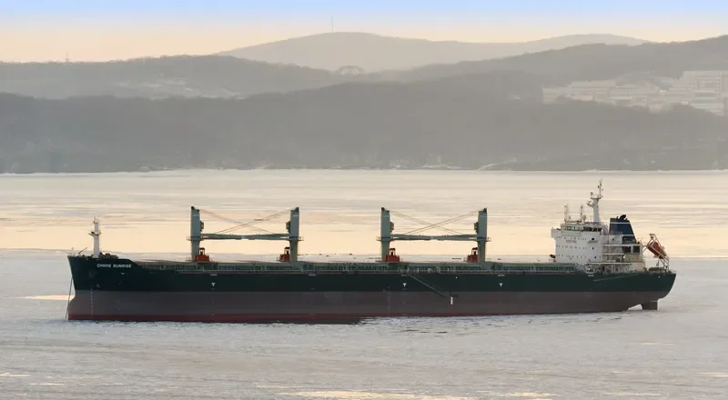 CHIOS SUNRISE Bulk Carrier IMO 9639907 photo 4