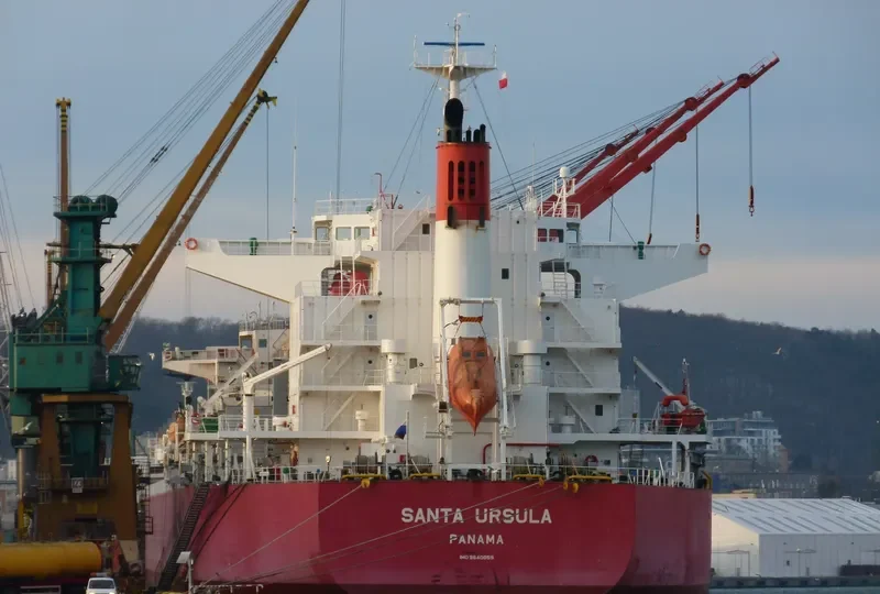 TEXEL ISLAND Bulk Carrier IMO 9640059