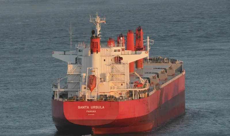 TEXEL ISLAND Bulk Carrier IMO 9640059 photo 3
