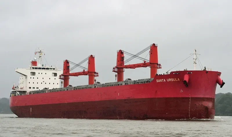 TEXEL ISLAND Bulk Carrier IMO 9640059 photo 10