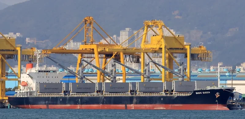 BASIC QUEEN Bulk Carrier IMO 9640061