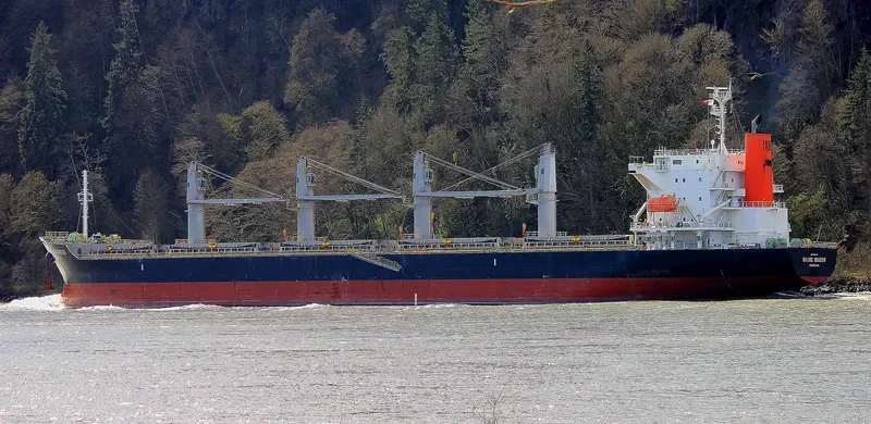 BASIC QUEEN Bulk Carrier IMO 9640061 photo 3
