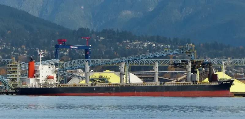 BASIC QUEEN Bulk Carrier IMO 9640061 photo 4