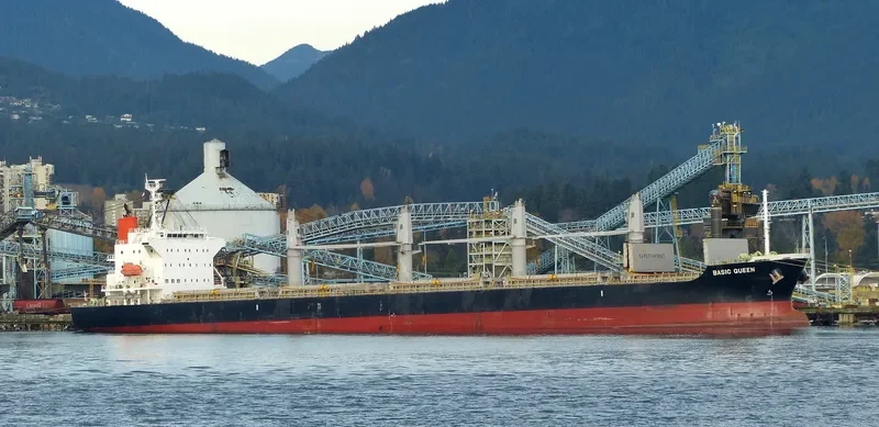 BASIC QUEEN Bulk Carrier IMO 9640061 photo 5