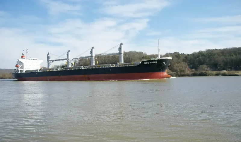 BASIC QUEEN Bulk Carrier IMO 9640061 photo 7
