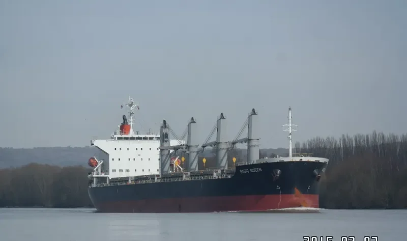 BASIC QUEEN Bulk Carrier IMO 9640061 photo 9
