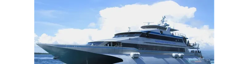 QUICKSILVER IX Passenger Ship IMO 9640190 photo 4