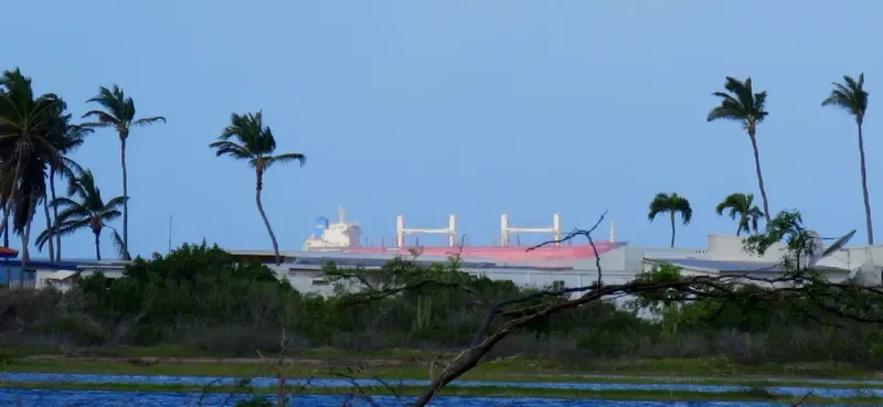 NEPTUNE Bulk Carrier IMO 9640413