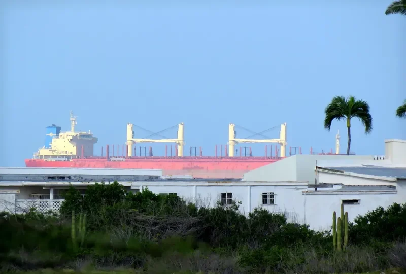 NEPTUNE Bulk Carrier IMO 9640413 photo 2