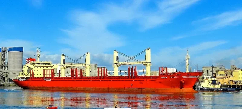 NEPTUNE Bulk Carrier IMO 9640413 photo 4
