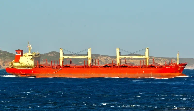 NEPTUNE Bulk Carrier IMO 9640413 photo 7