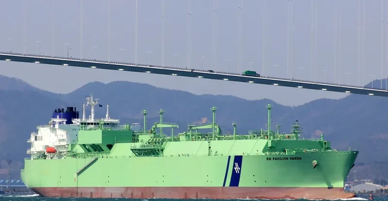 BW PAVILION VANDA General Cargo IMO 9640437 photo 2