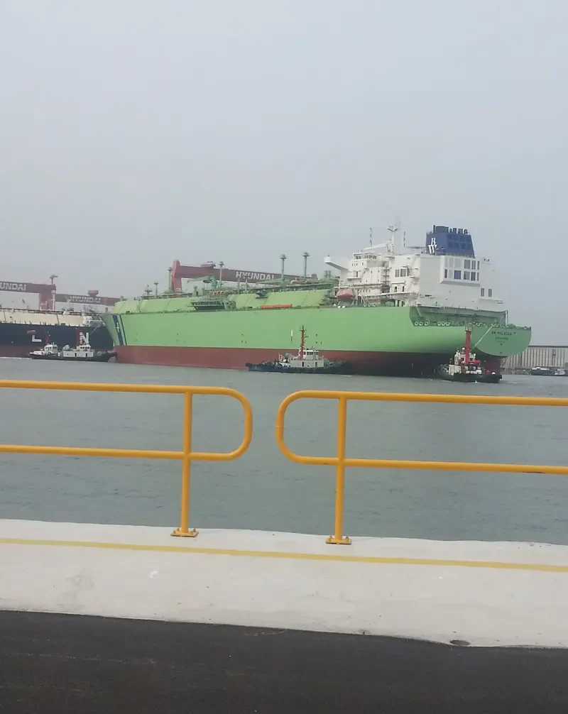 BW PAVILION VANDA General Cargo IMO 9640437 photo 6