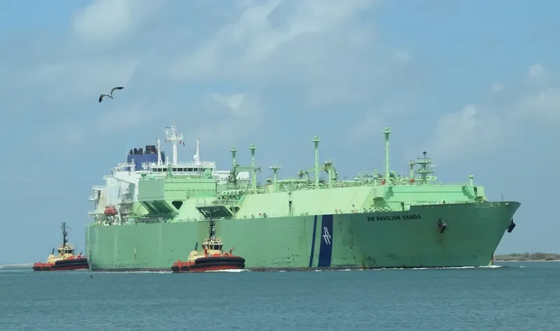 BW PAVILION VANDA General Cargo IMO 9640437 photo 8