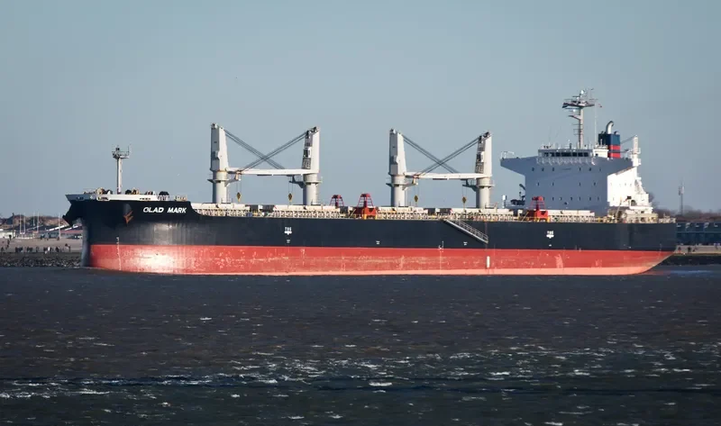 GLAD MARK Bulk Carrier IMO 9640592 photo 2