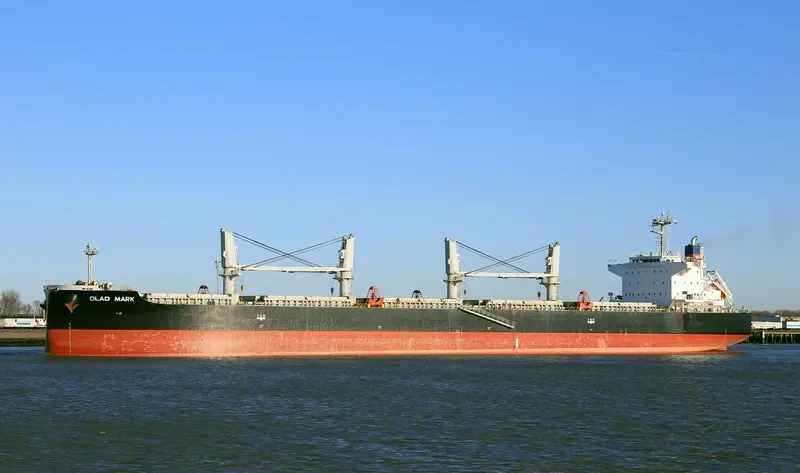 GLAD MARK Bulk Carrier IMO 9640592 photo 4