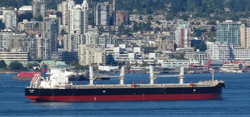 GLAD MARK Bulk Carrier IMO 9640592 photo 6