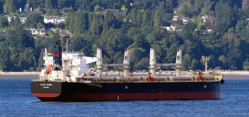 GLAD MARK Bulk Carrier IMO 9640592 photo 7