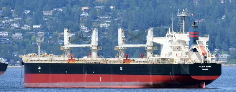 GLAD MARK Bulk Carrier IMO 9640592 photo 9