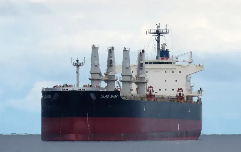 GLAD MARK Bulk Carrier IMO 9640592 photo 10